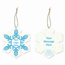 Grow-A-Note® Customizable Plantable Snowflake Ornaments - Crystal